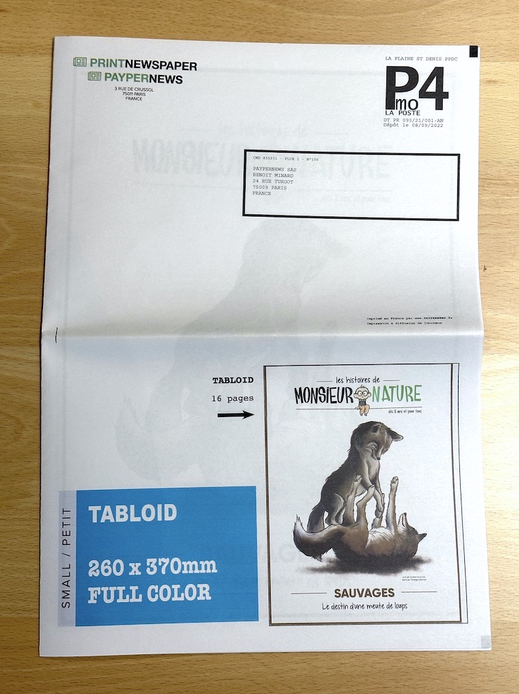 newspaper mail