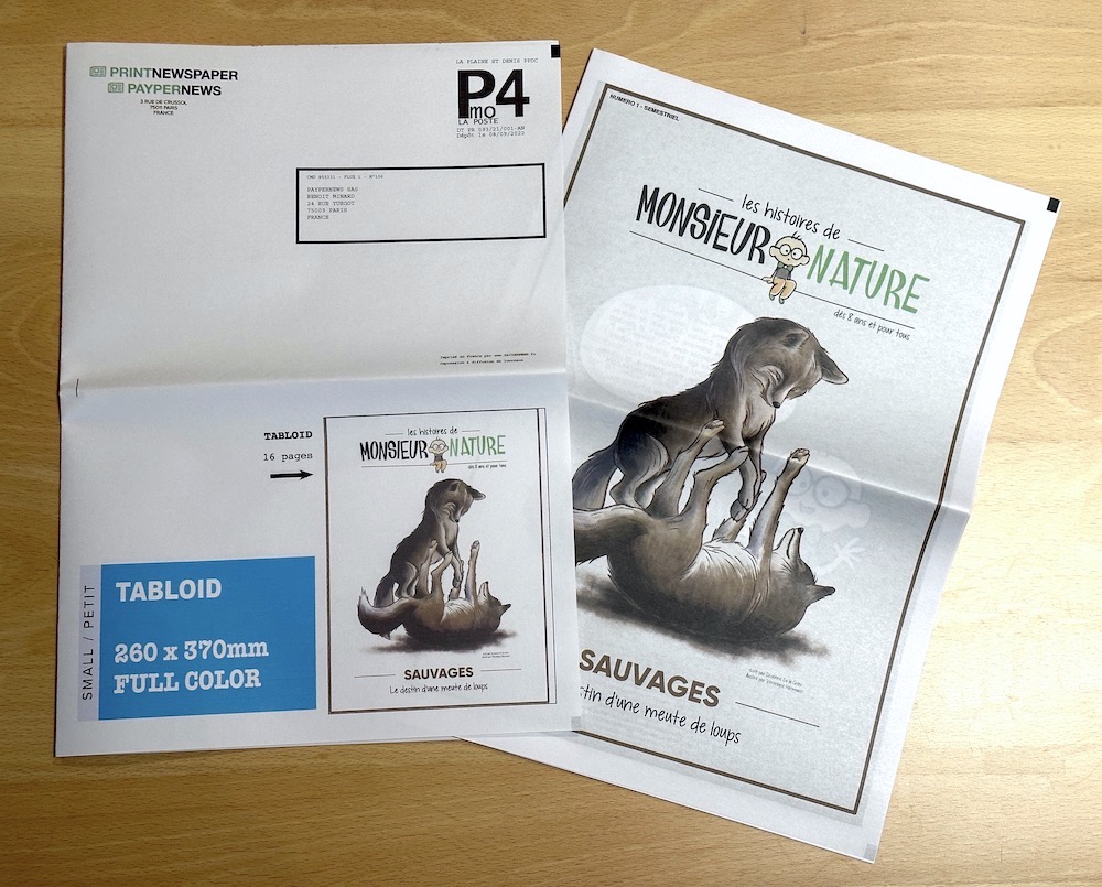 newspaper mail